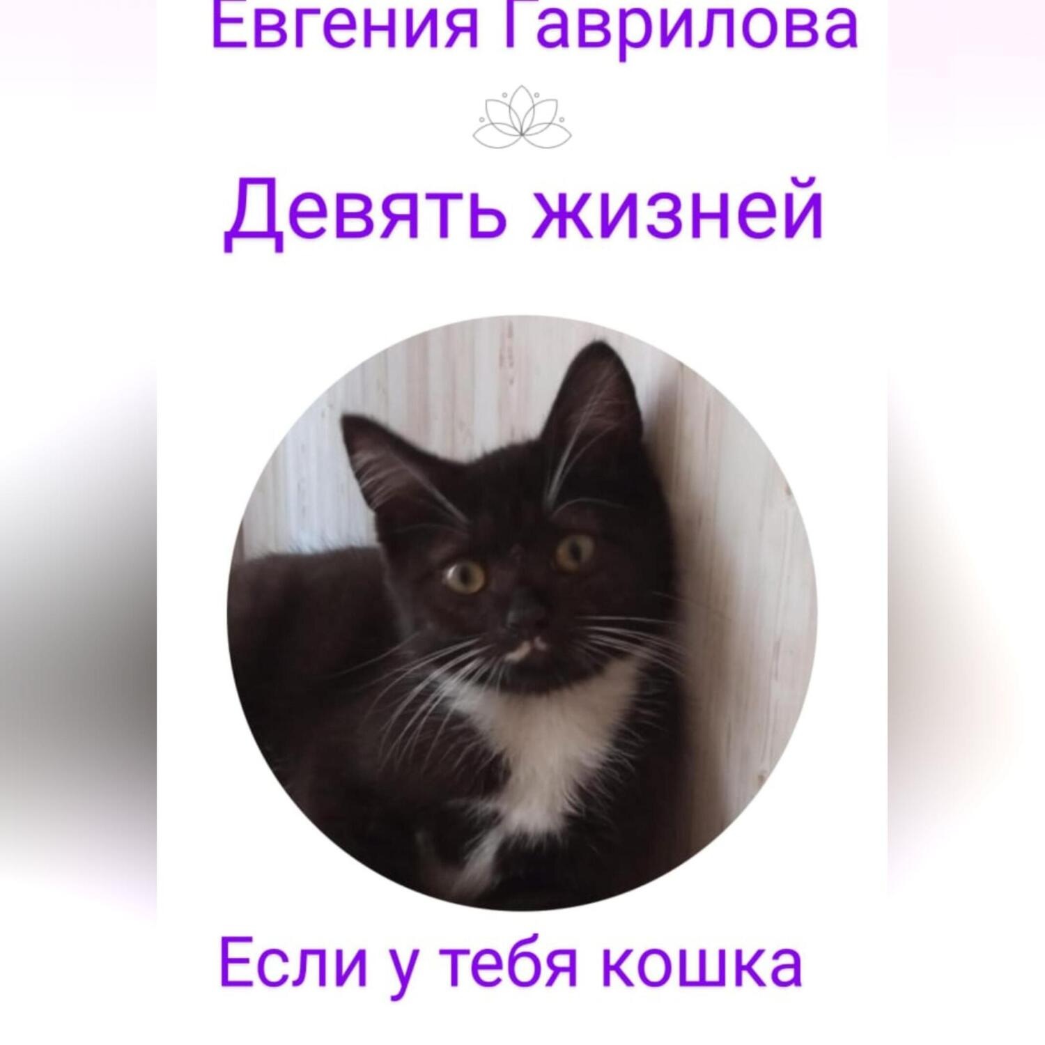 Обложка книги «Девять жизней. Если у тебя кошка.»