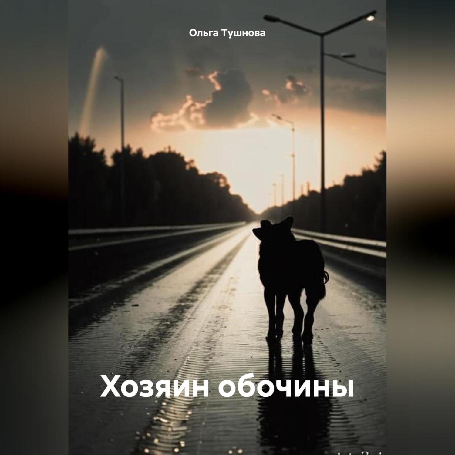 Обложка книги «Хозяин обочины»