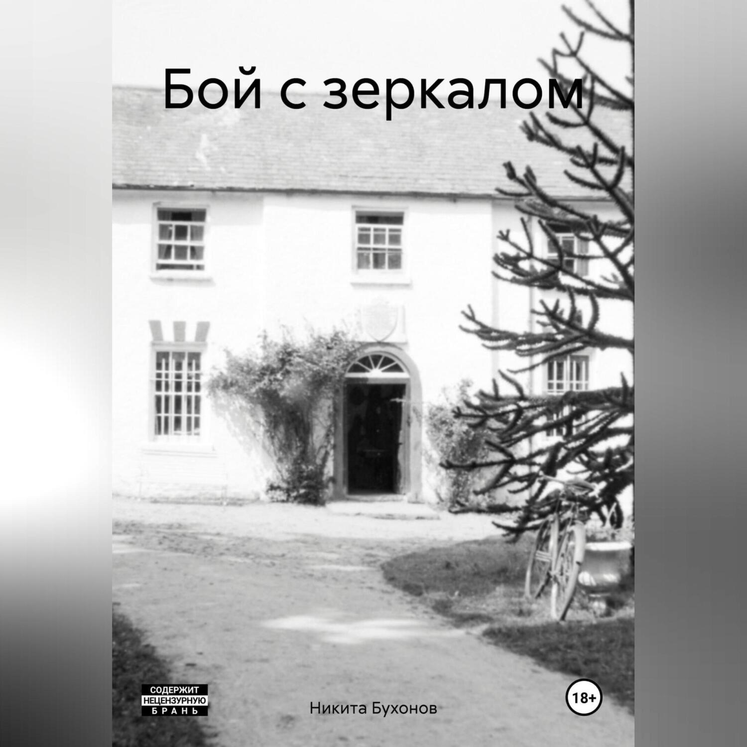 Обложка книги «Бой с зеркалом»