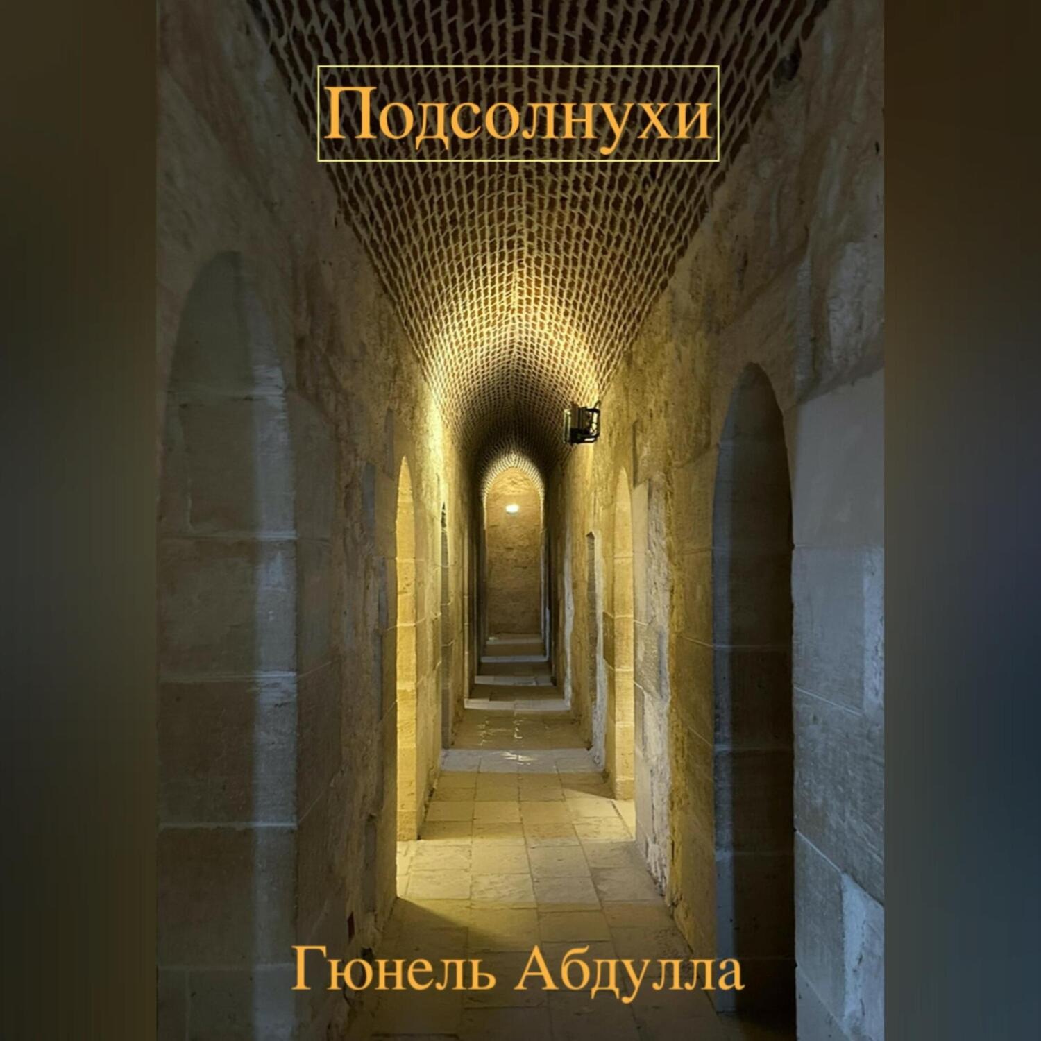 Обложка книги «Подсолнухи»