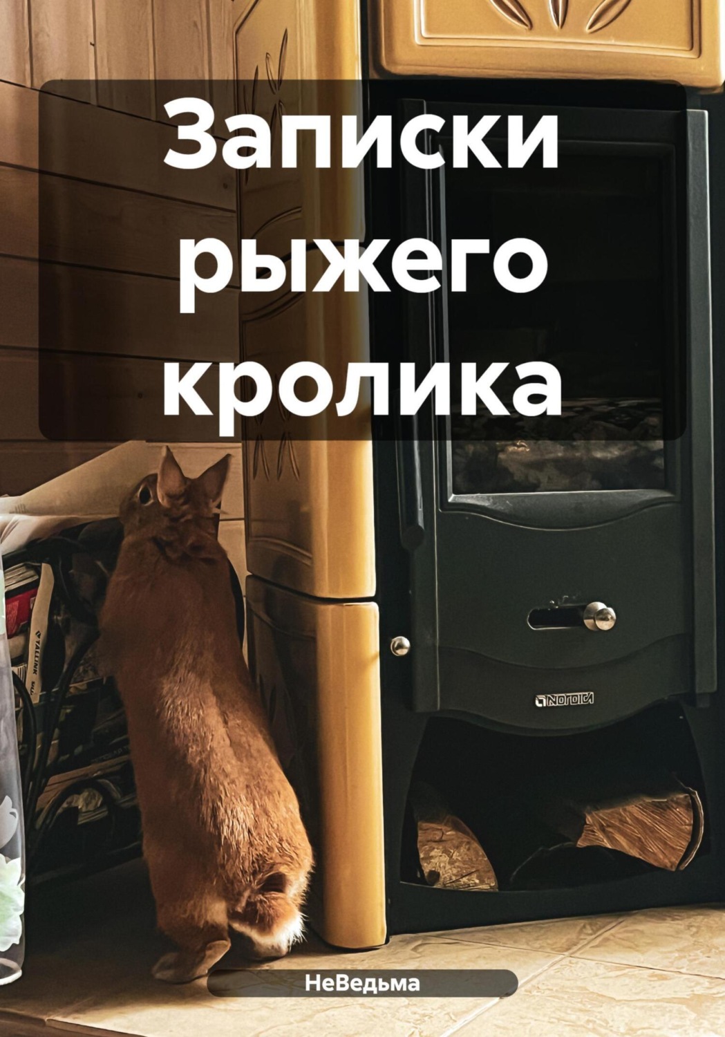 Обложка книги «Записки рыжего кролика»