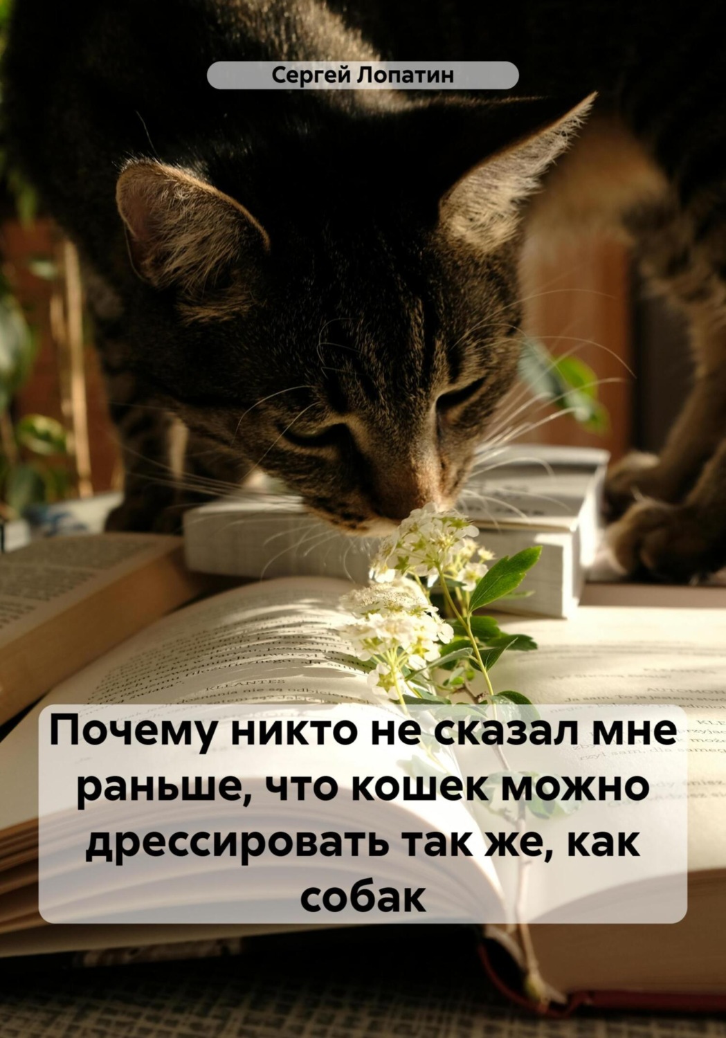 Обложка книги «Почему никто не сказал мне раньше, что кошек можно дрессировать так же, как собак»