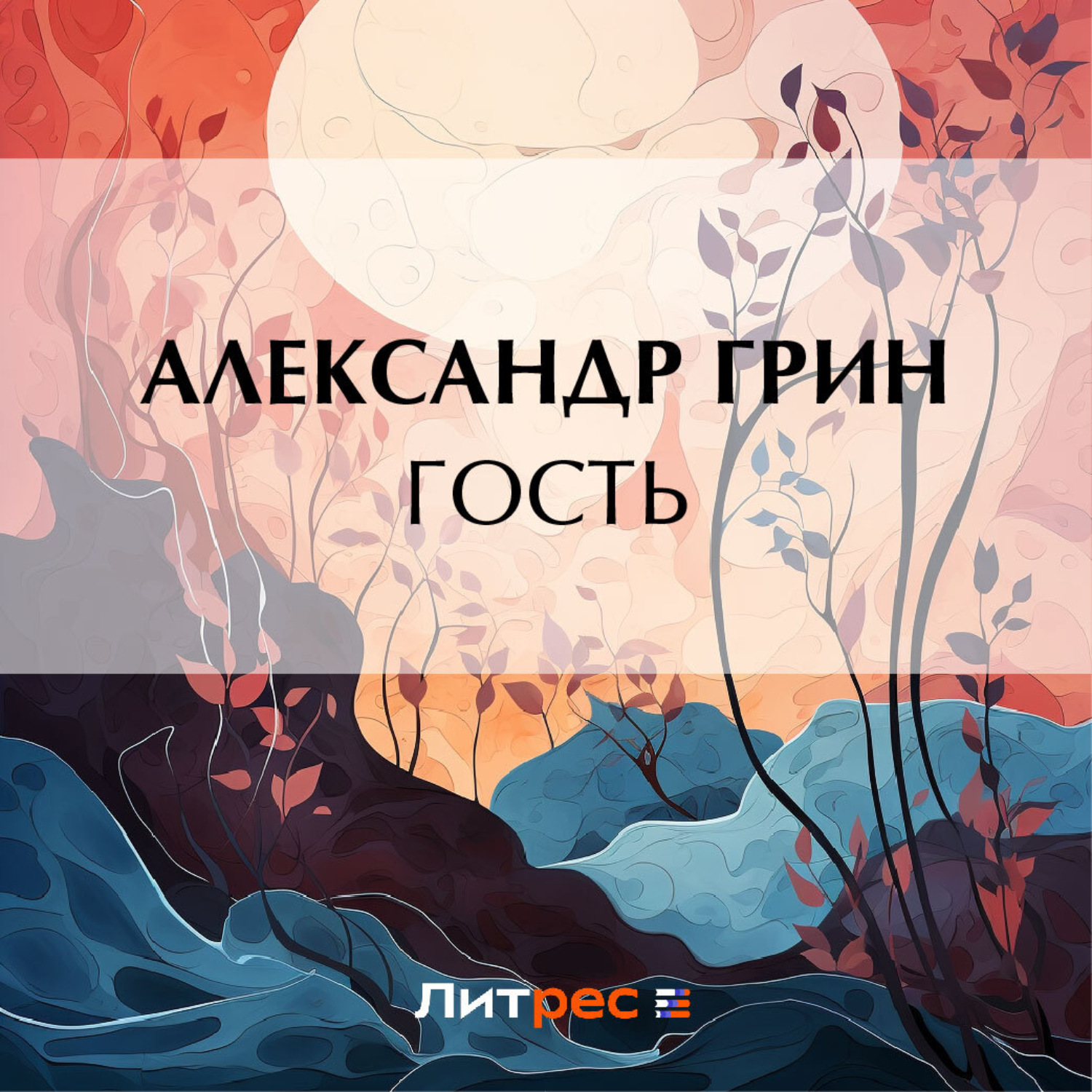 Обложка книги «Гость»