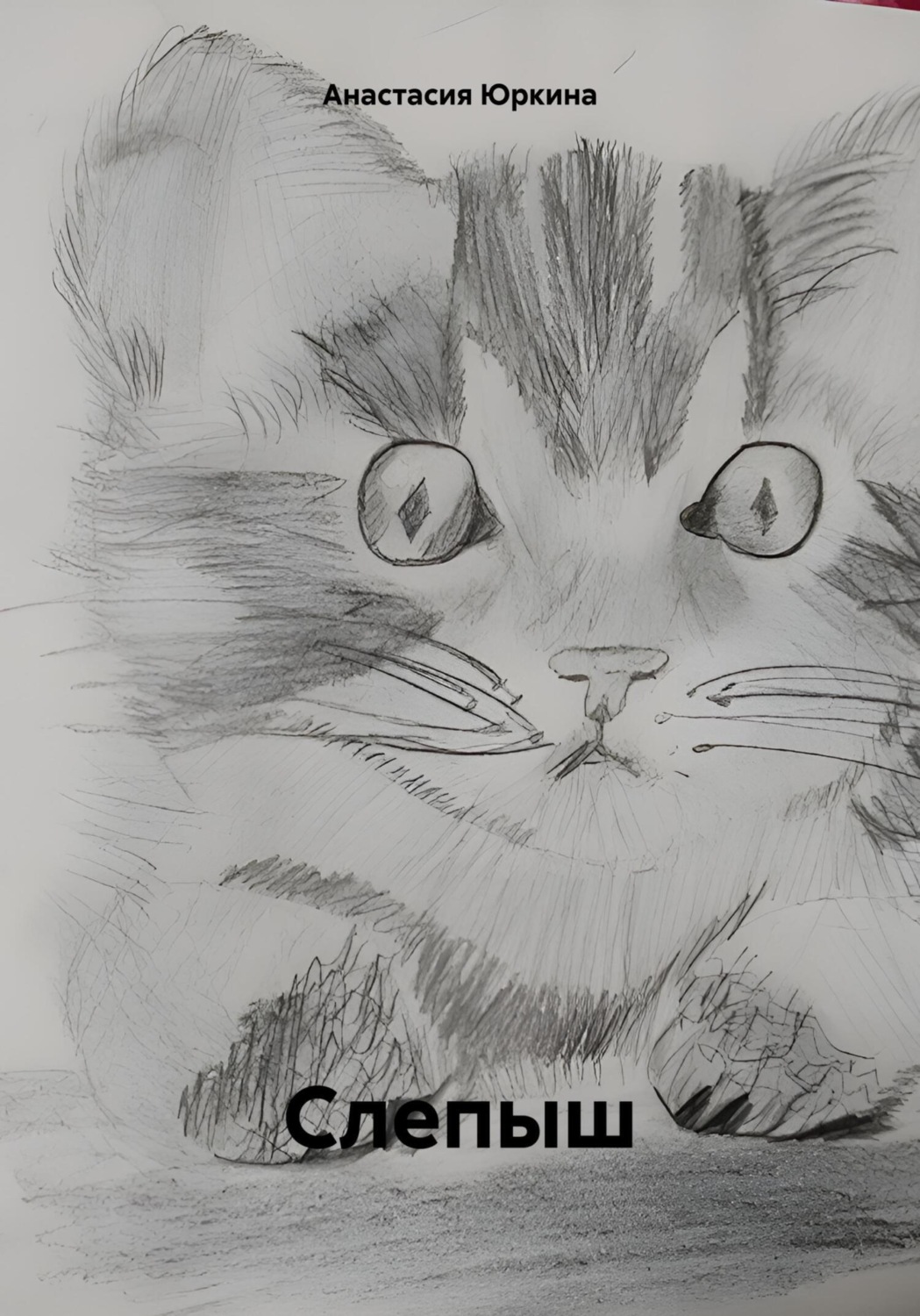 Обложка книги «Слепыш»