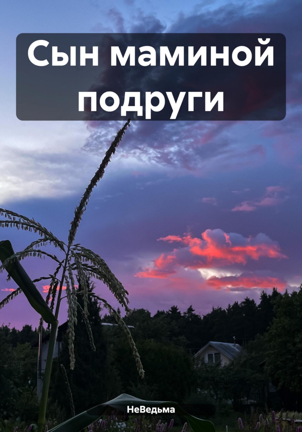 Обложка книги «Сын маминой подруги»