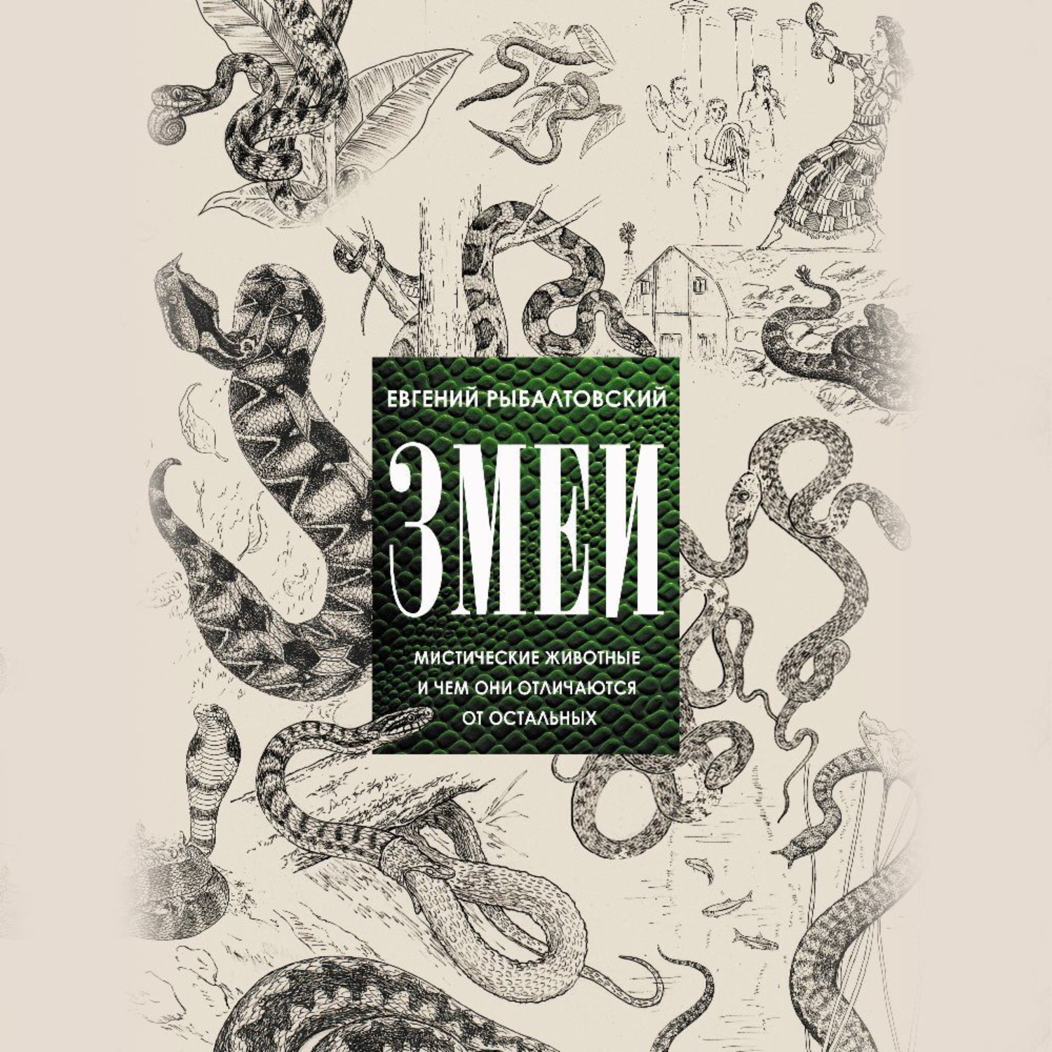 Обложка книги «Змеи. Мистические животные и чем они отличаются от остальных»