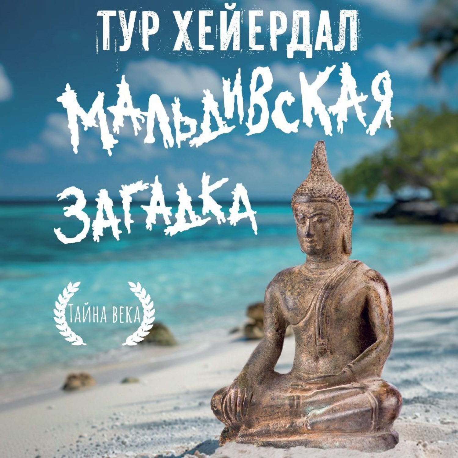 Обложка книги «Мальдивская загадка»