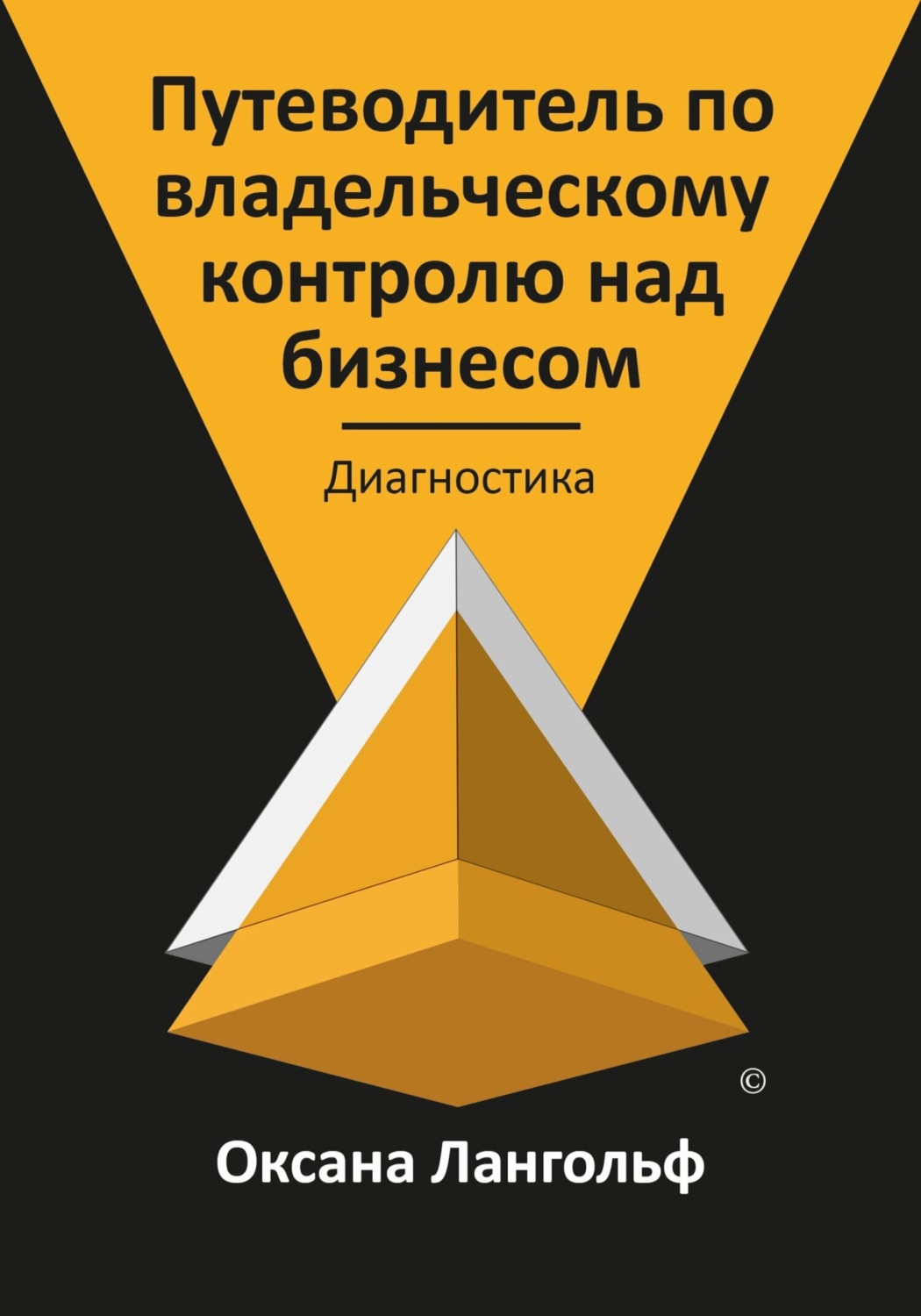 Обложка книги «Путеводитель по владельческому контролю над бизнесом. Часть 1. Диагностика»