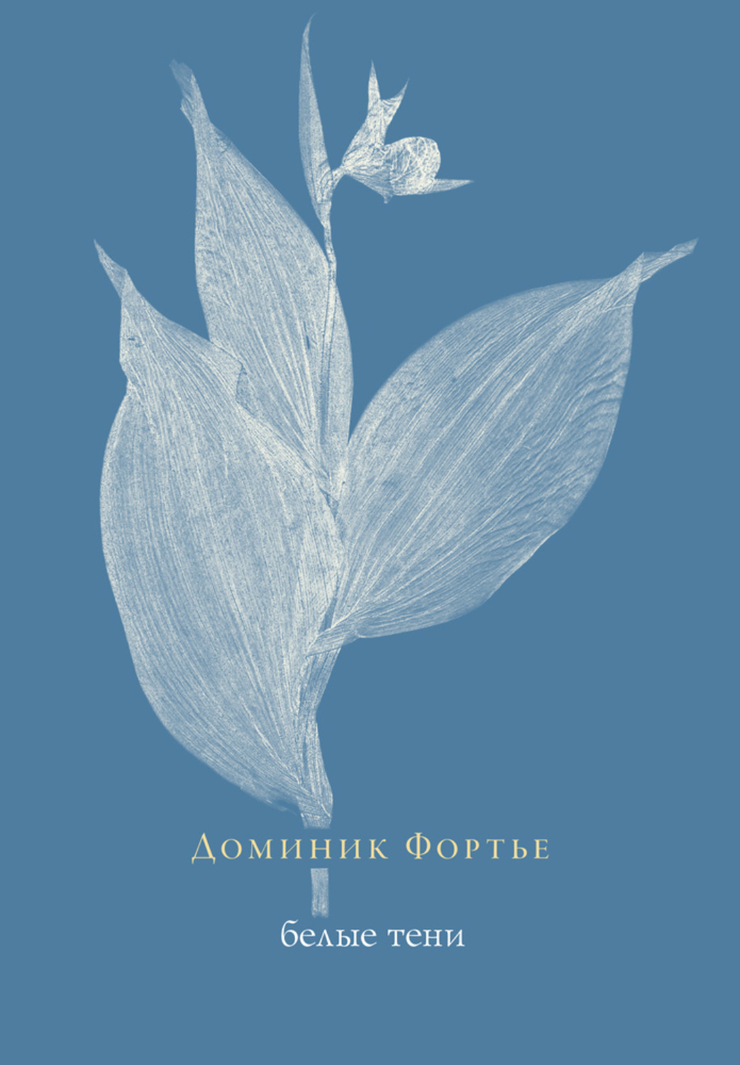 Обложка книги «Белые тени»