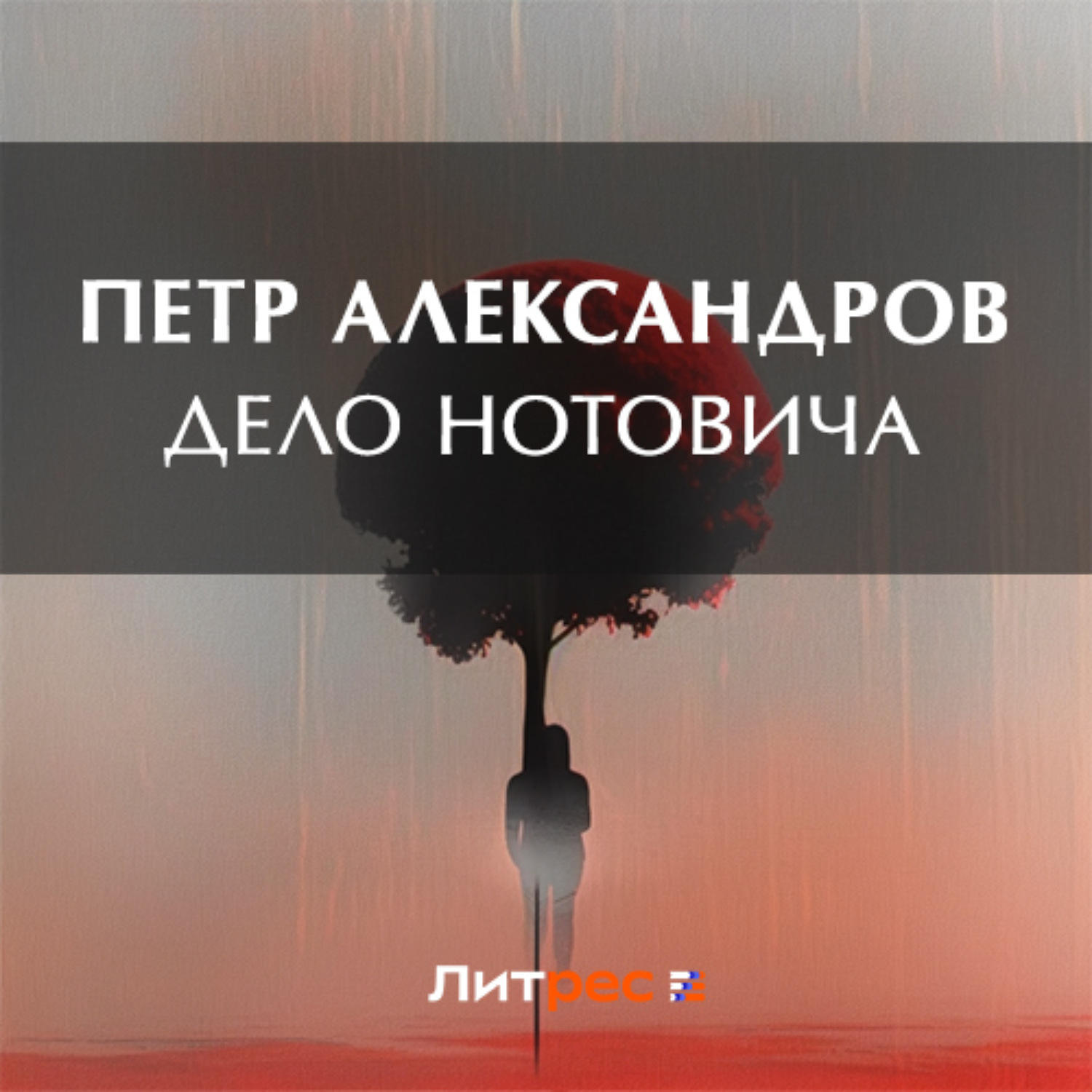 Обложка книги «Дело Нотовича»