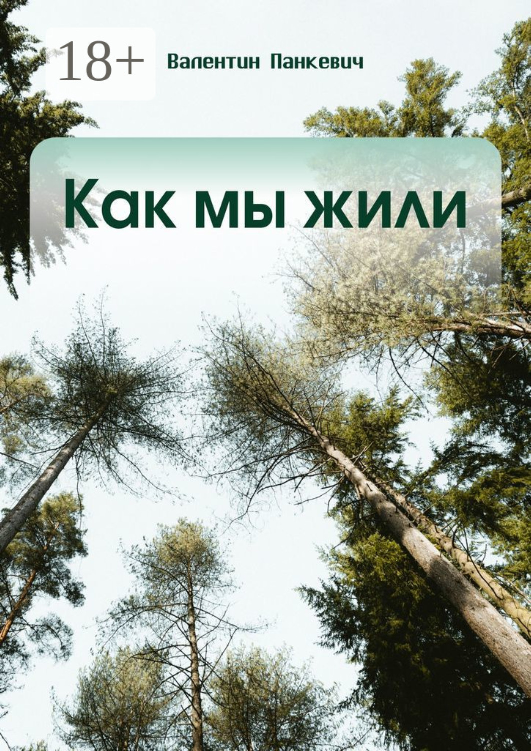 Обложка книги «Как мы жили»