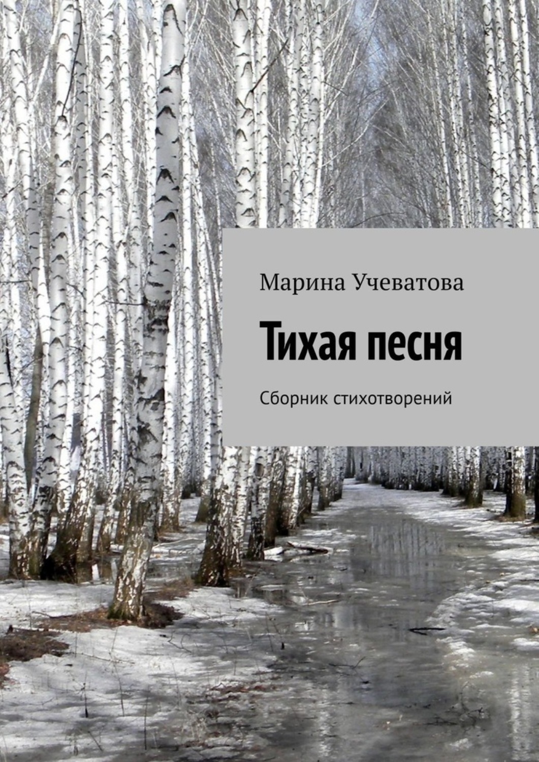 Обложка книги «Тихая песня. Сборник стихотворений»