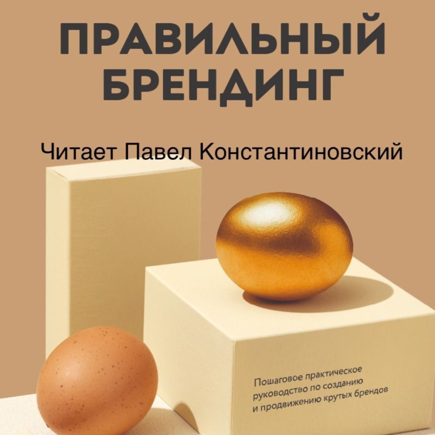 Обложка книги «Правильный брендинг. Пошаговое практическое руководство по созданию и продвижению крутых брендов»