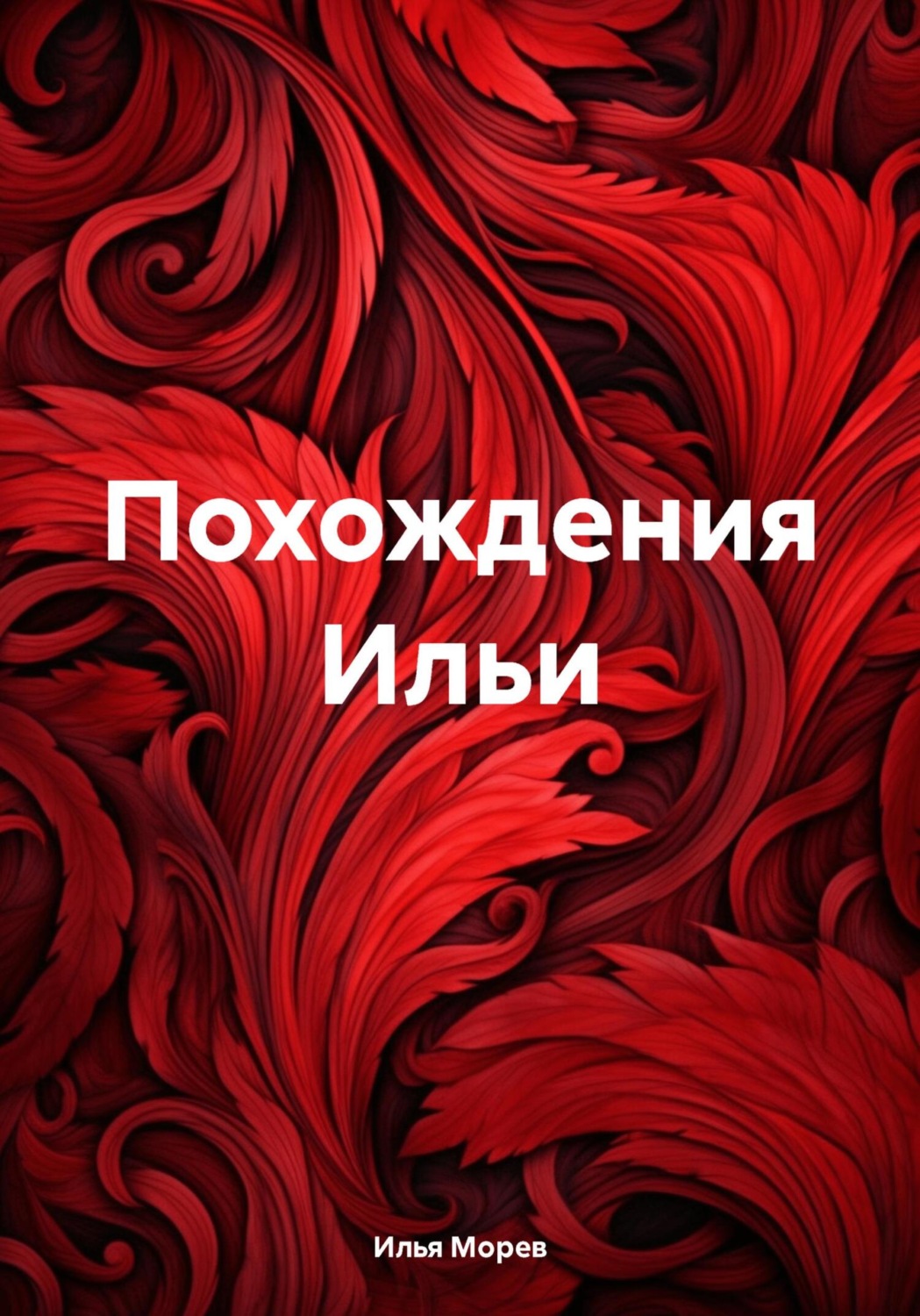 Обложка книги «Похождения Ильи»