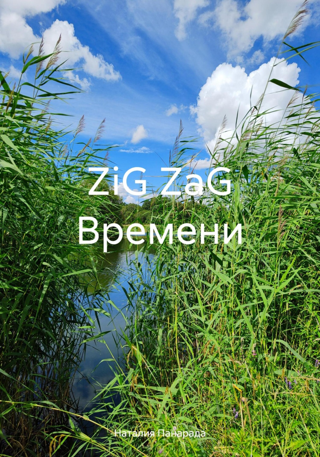 Обложка книги «ZiG ZaG Времени»