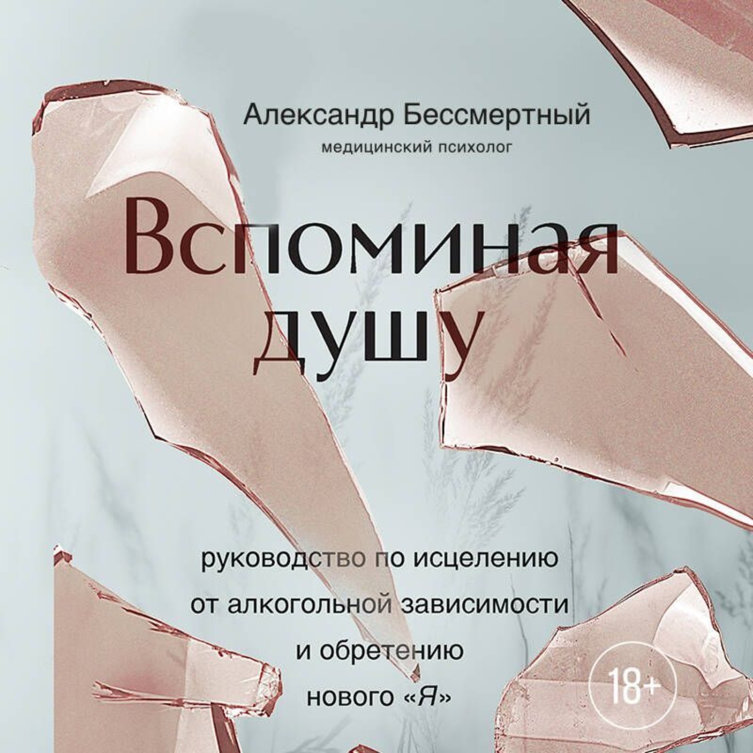 Обложка книги «Вспоминая душу. Руководство по исцелению от алкогольной зависимости и обретению нового «Я»»