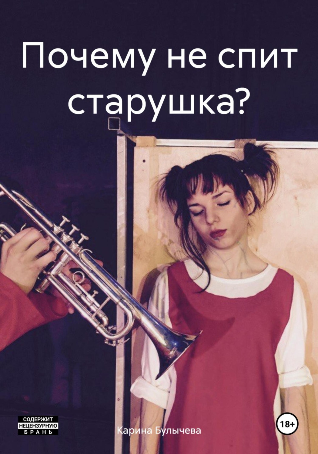 Обложка книги «Почему не спит старушка?»
