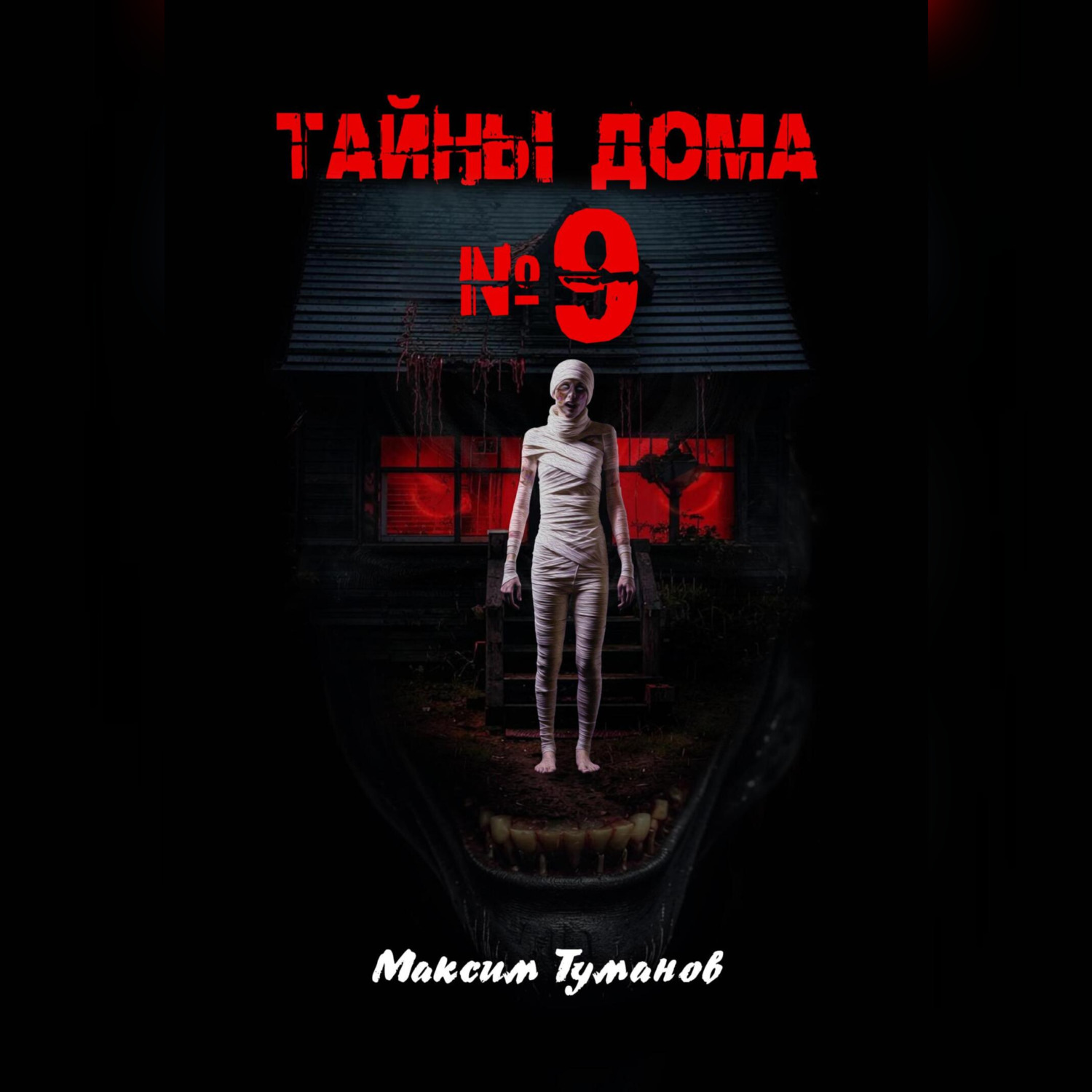 Обложка книги «Тайны дома №9»