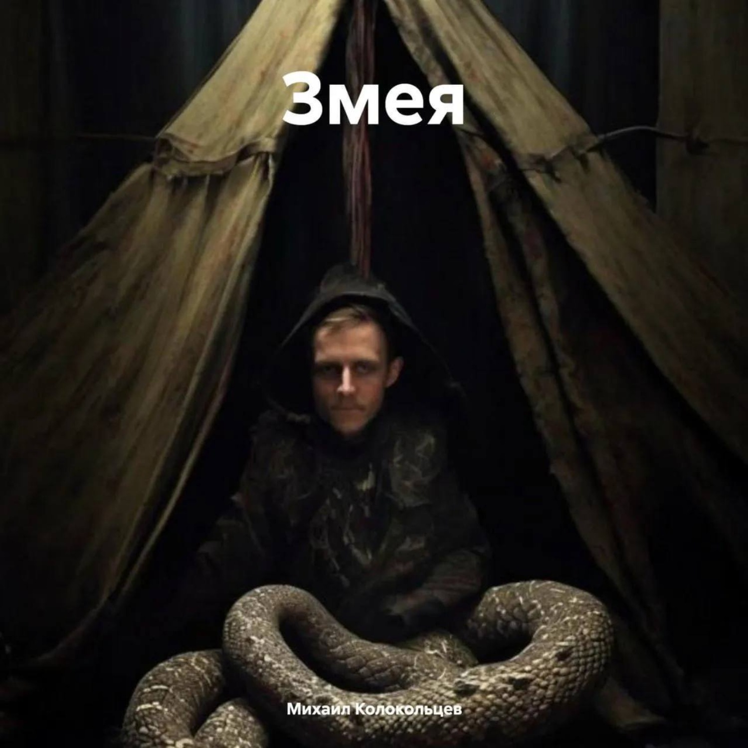 Обложка книги «Змея»