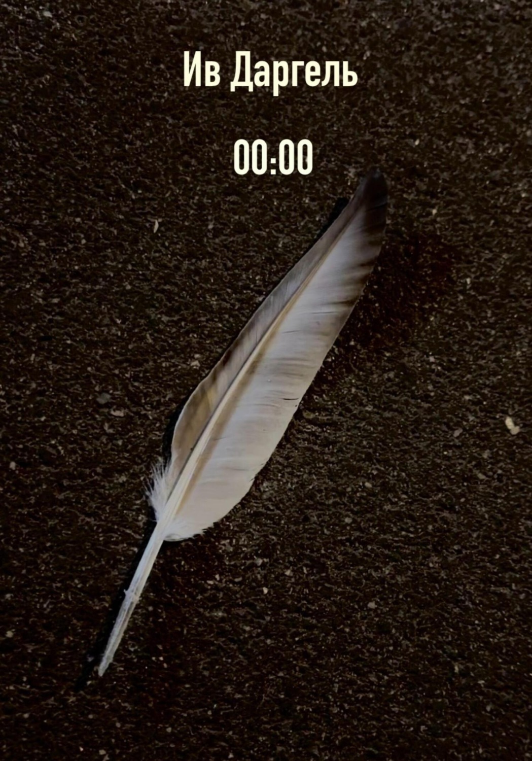 Обложка книги «00:00»