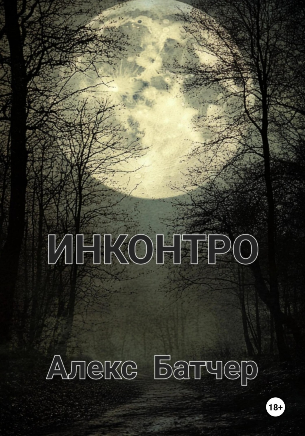 Обложка книги «Инконтро»