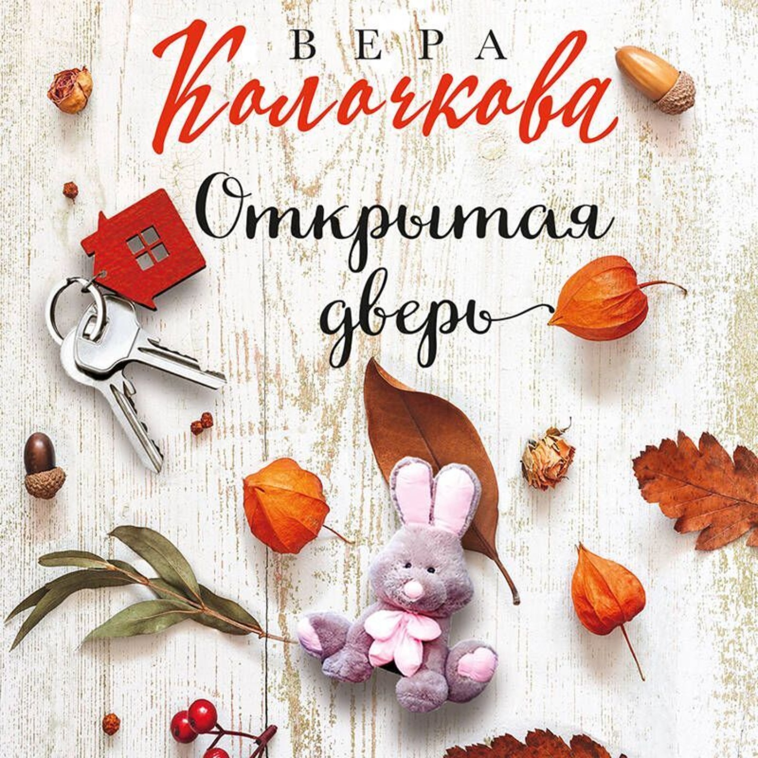 Обложка книги «Открытая дверь»