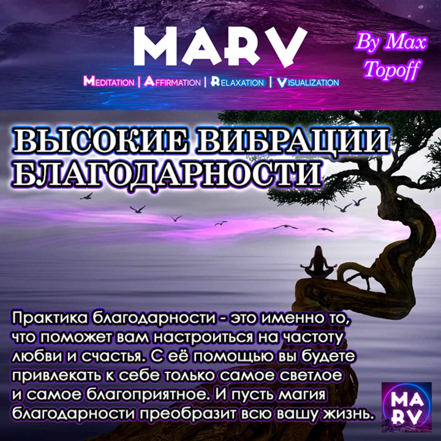 Обложка книги «Высокие Вибрации Благодарности»