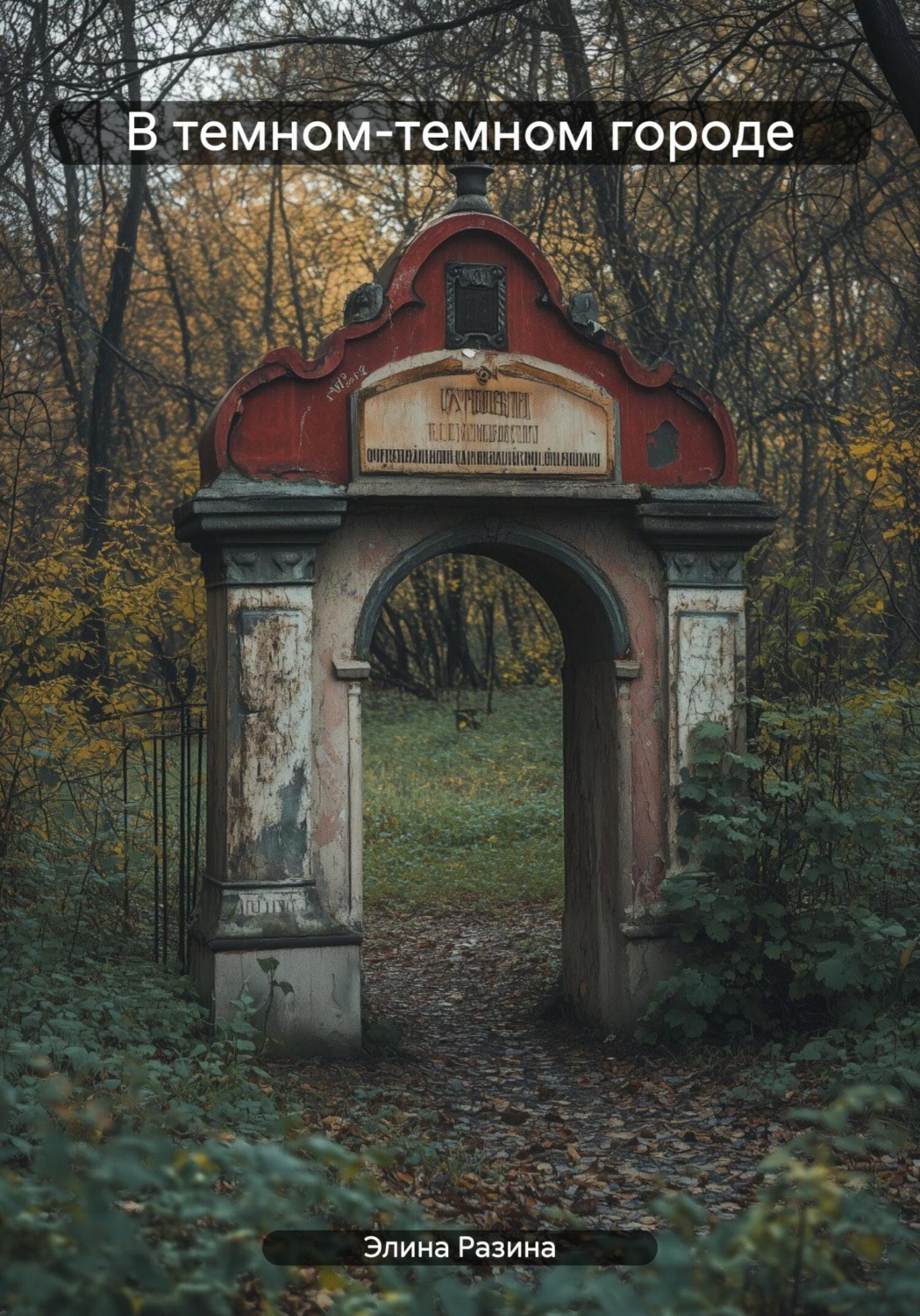 Обложка книги «В темном-темном городе»