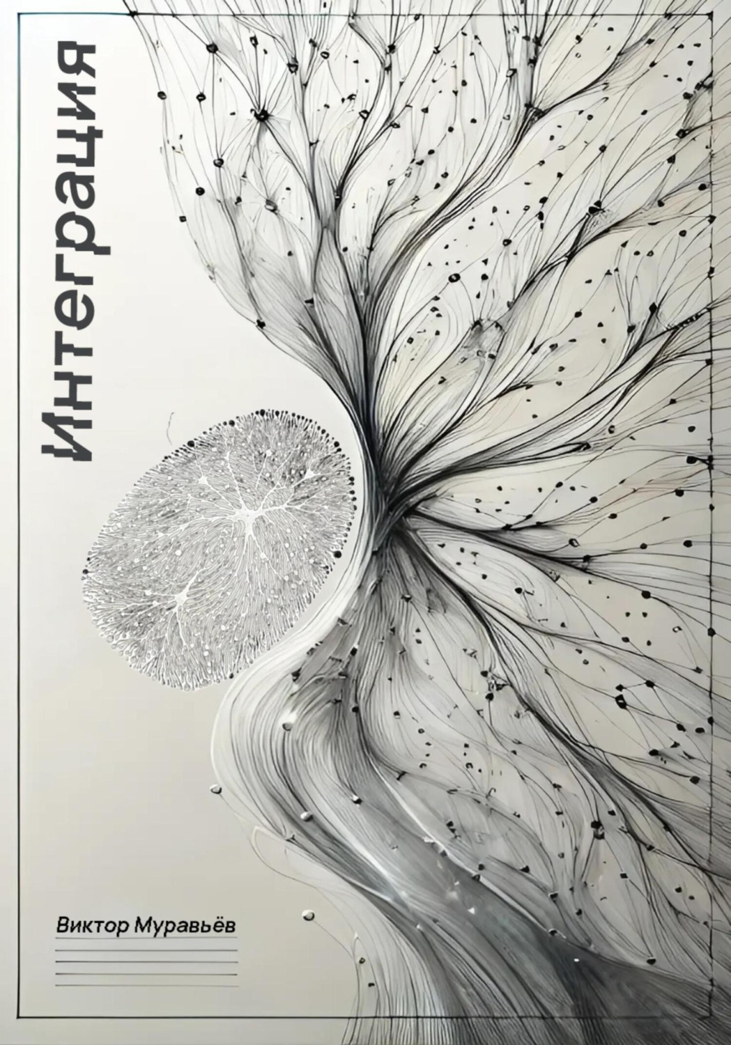 Обложка книги «Интеграция»