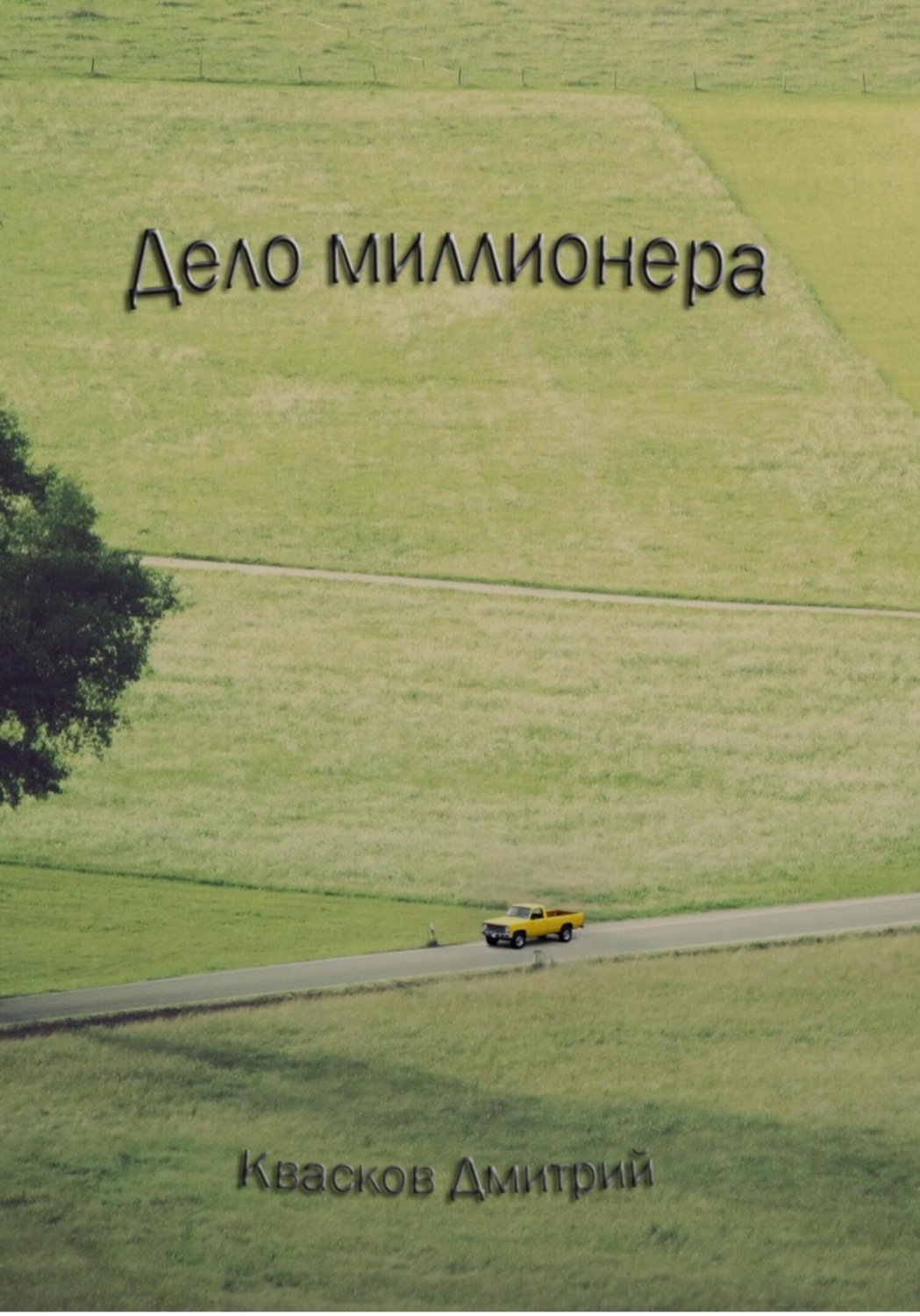 Обложка книги «Дело миллионера»