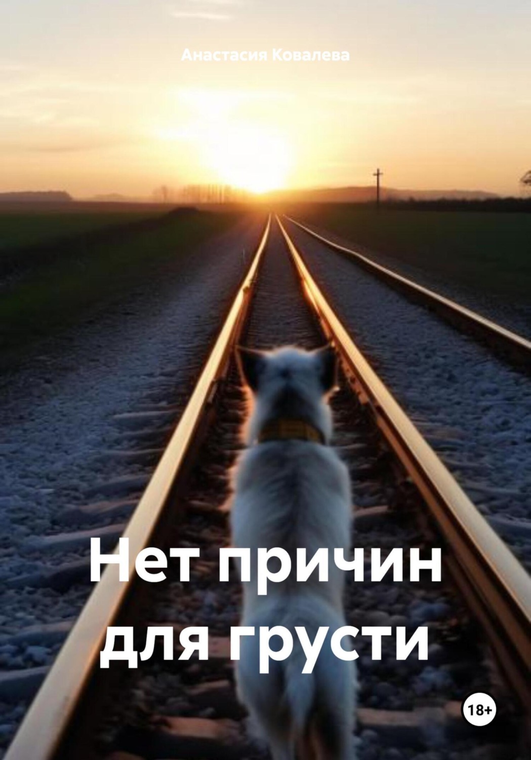 Обложка книги «Нет причин для грусти»