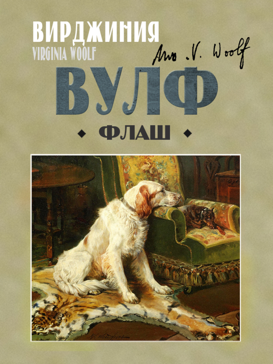 Обложка книги «Флаш»