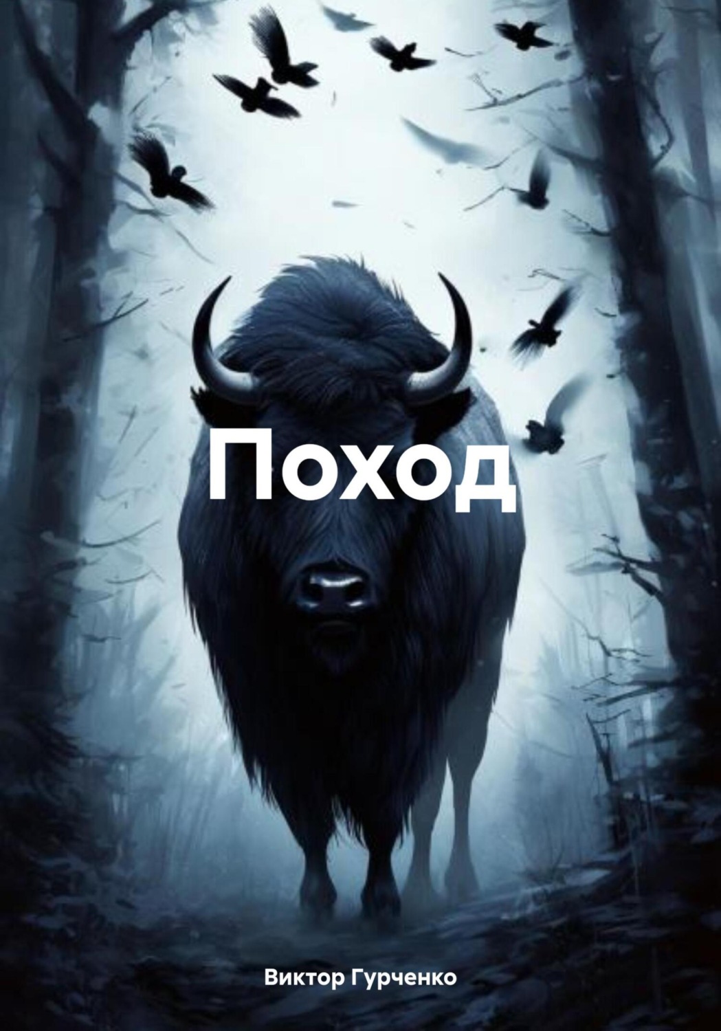 Обложка книги «Поход»