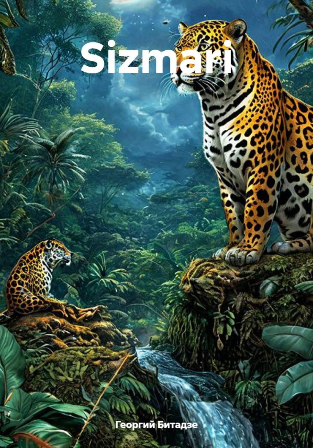 Обложка книги «Sizmari»