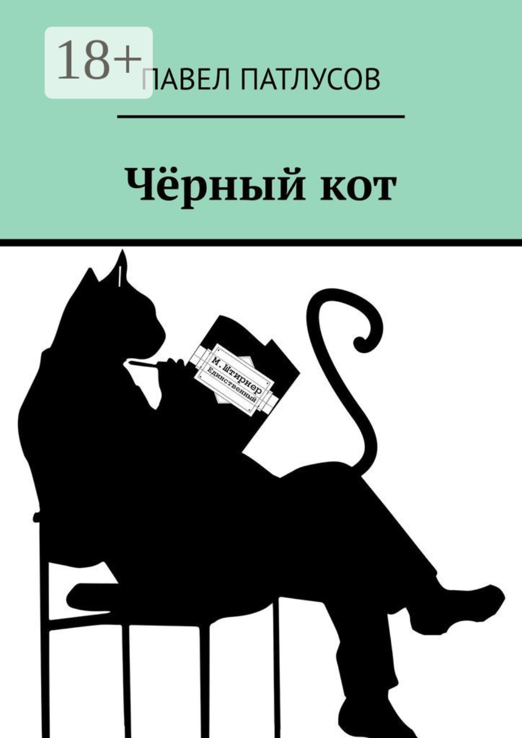 Обложка книги «Чёрный кот. Рассказы. Сказки. Заметки»