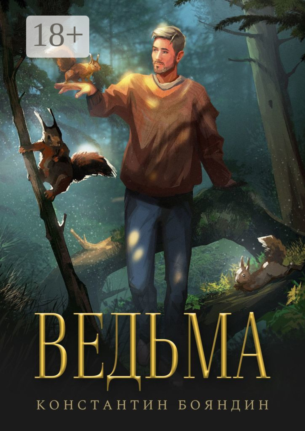 Обложка книги «Ведьма»