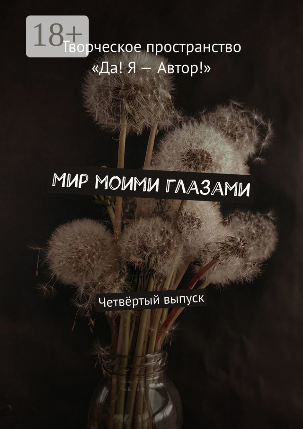 Обложка книги «Мир моими глазами. Четвёртый выпуск»