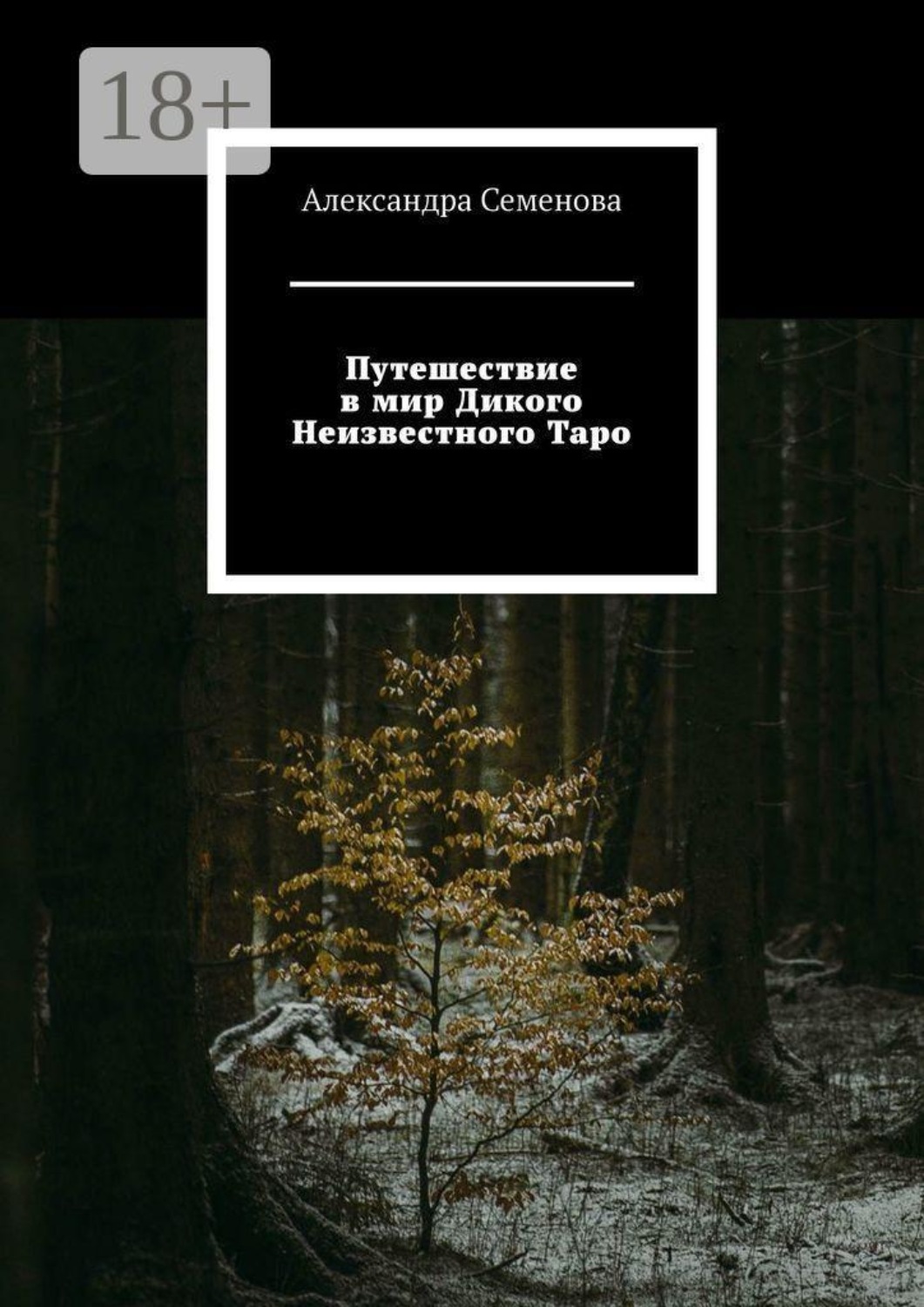 Обложка книги «Путешествие в мир Дикого Неизвестного Таро»