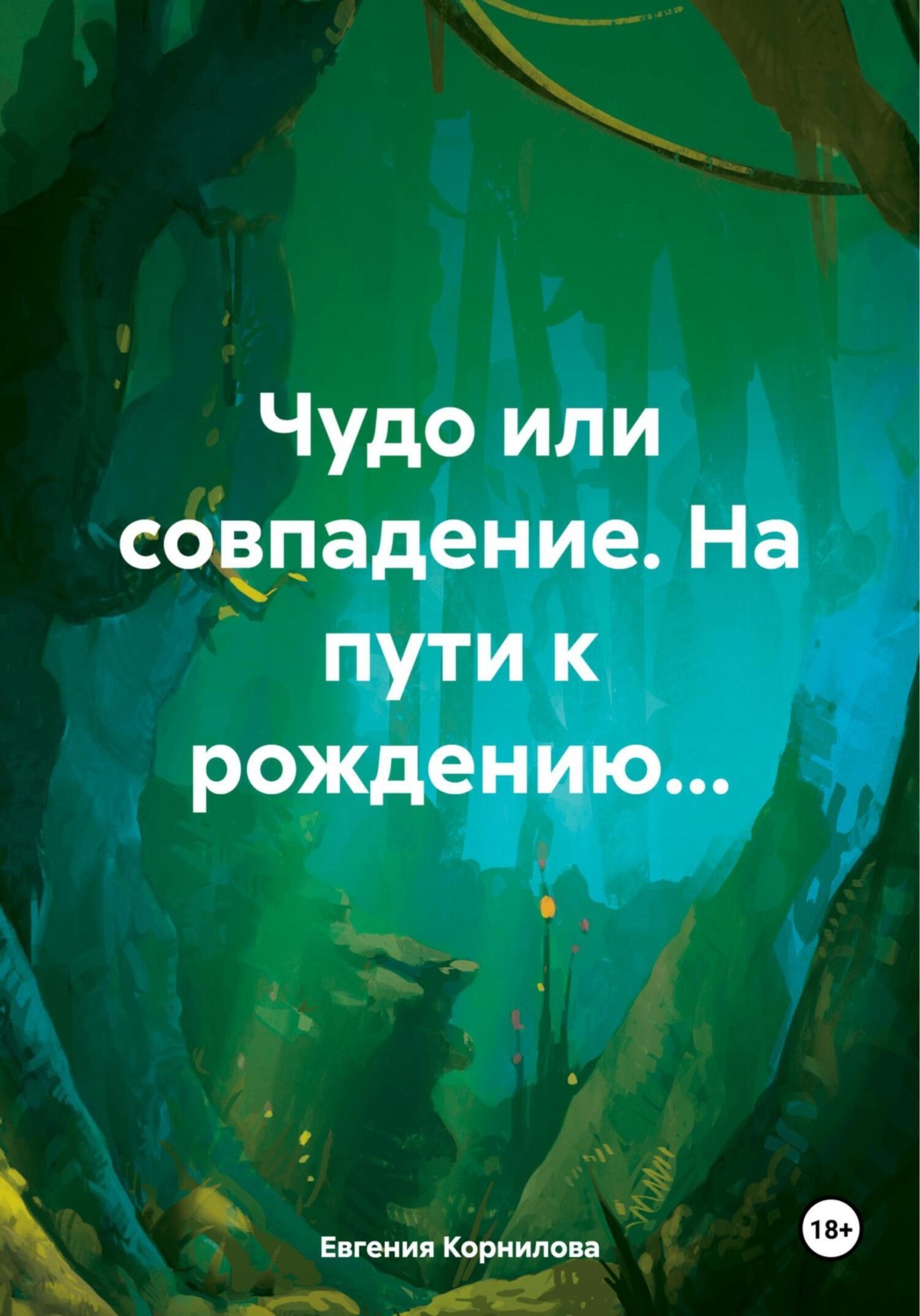 Обложка книги «Чудо или совпадение. На пути к рождению…»