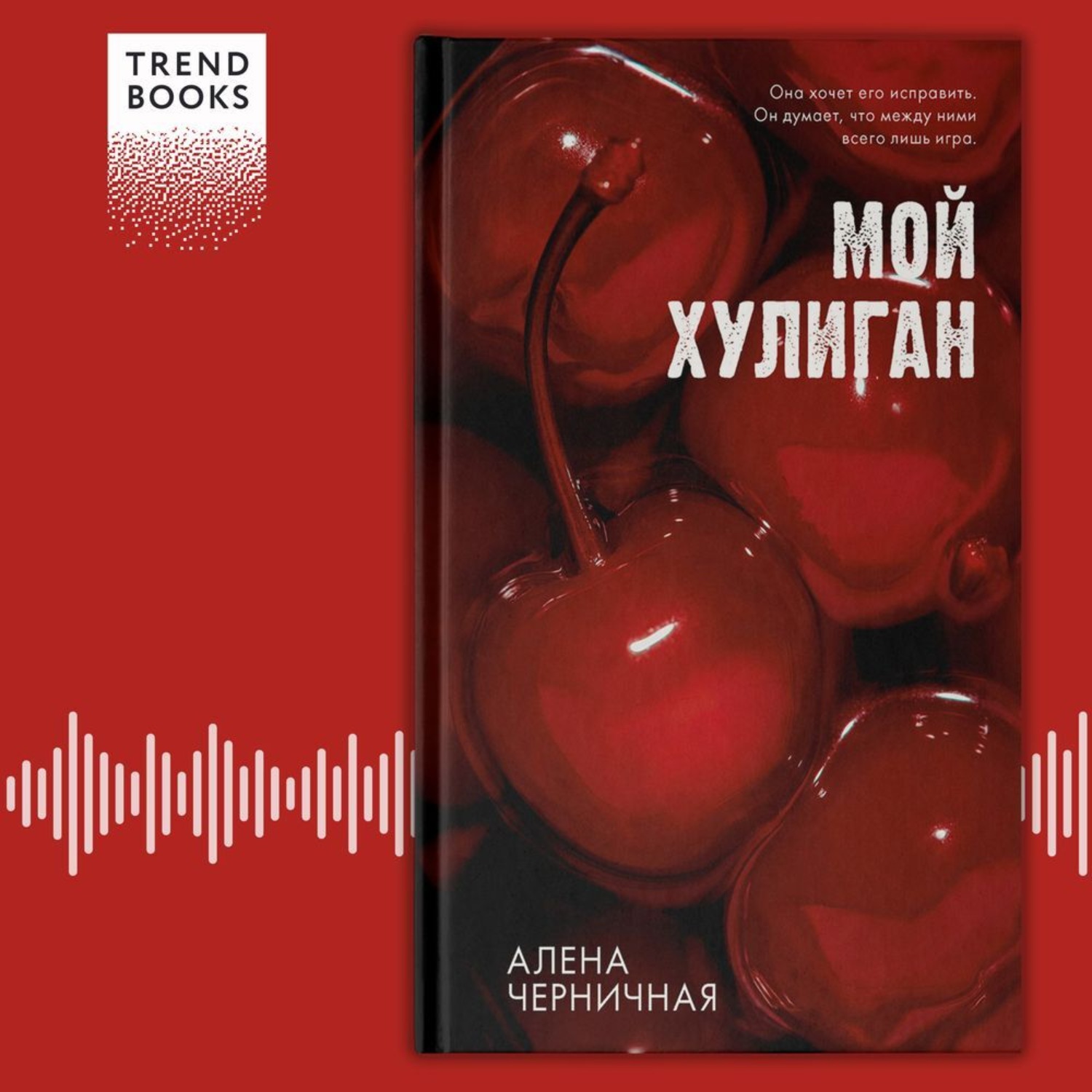 Обложка книги «Мой хулиган»