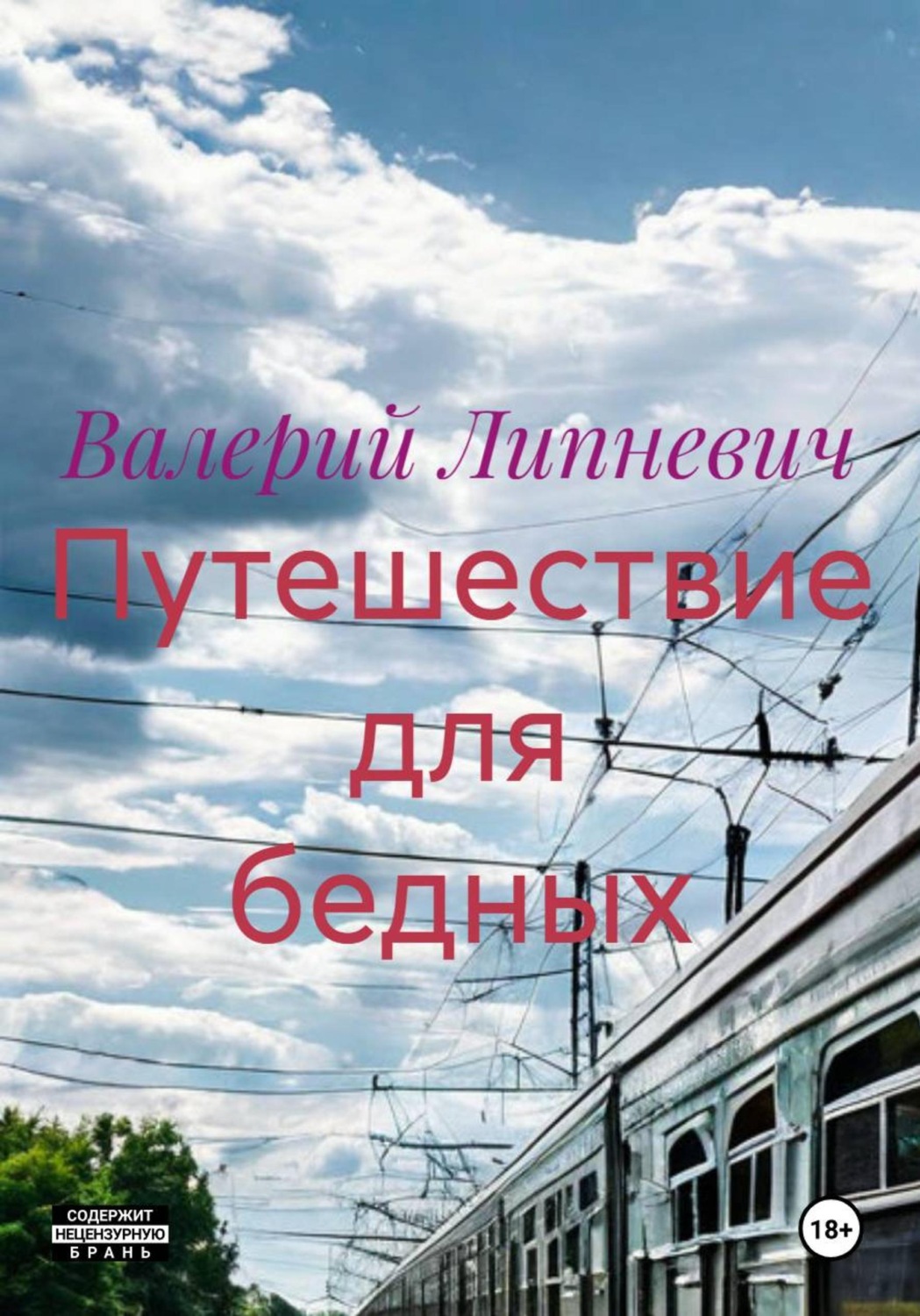 Обложка книги «Путешествие для бедных»