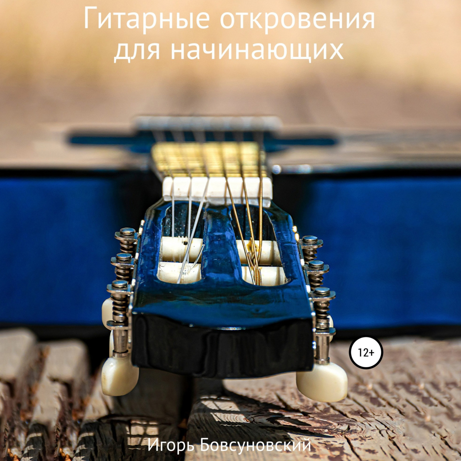 Обложка книги «Гитарные откровения для начинающих»