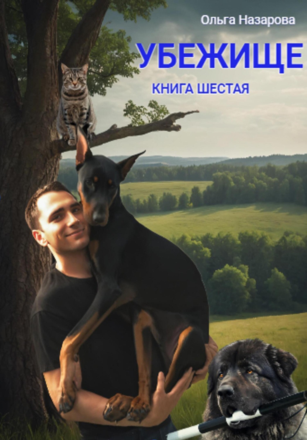 Обложка книги «Убежище. Книга шестая»