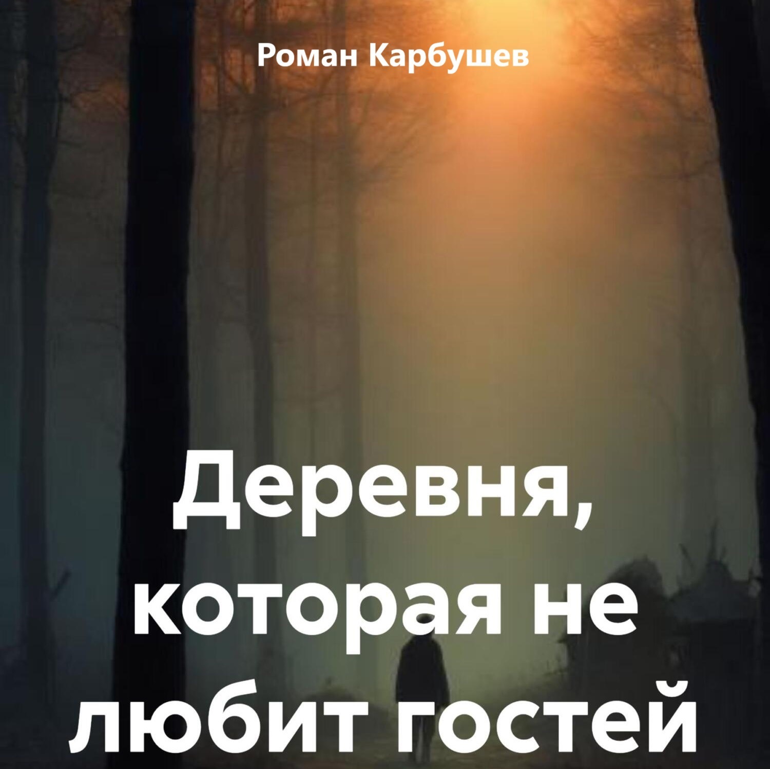 Обложка книги «Деревня, которая не любит гостей»