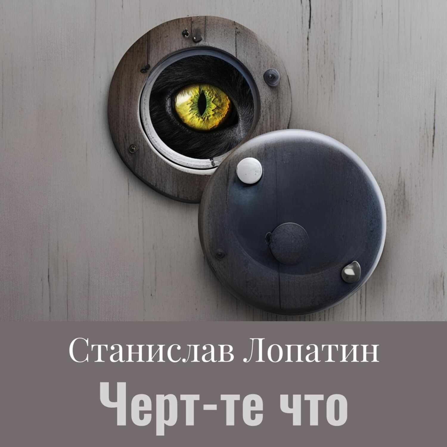 Обложка книги «Черт те что»
