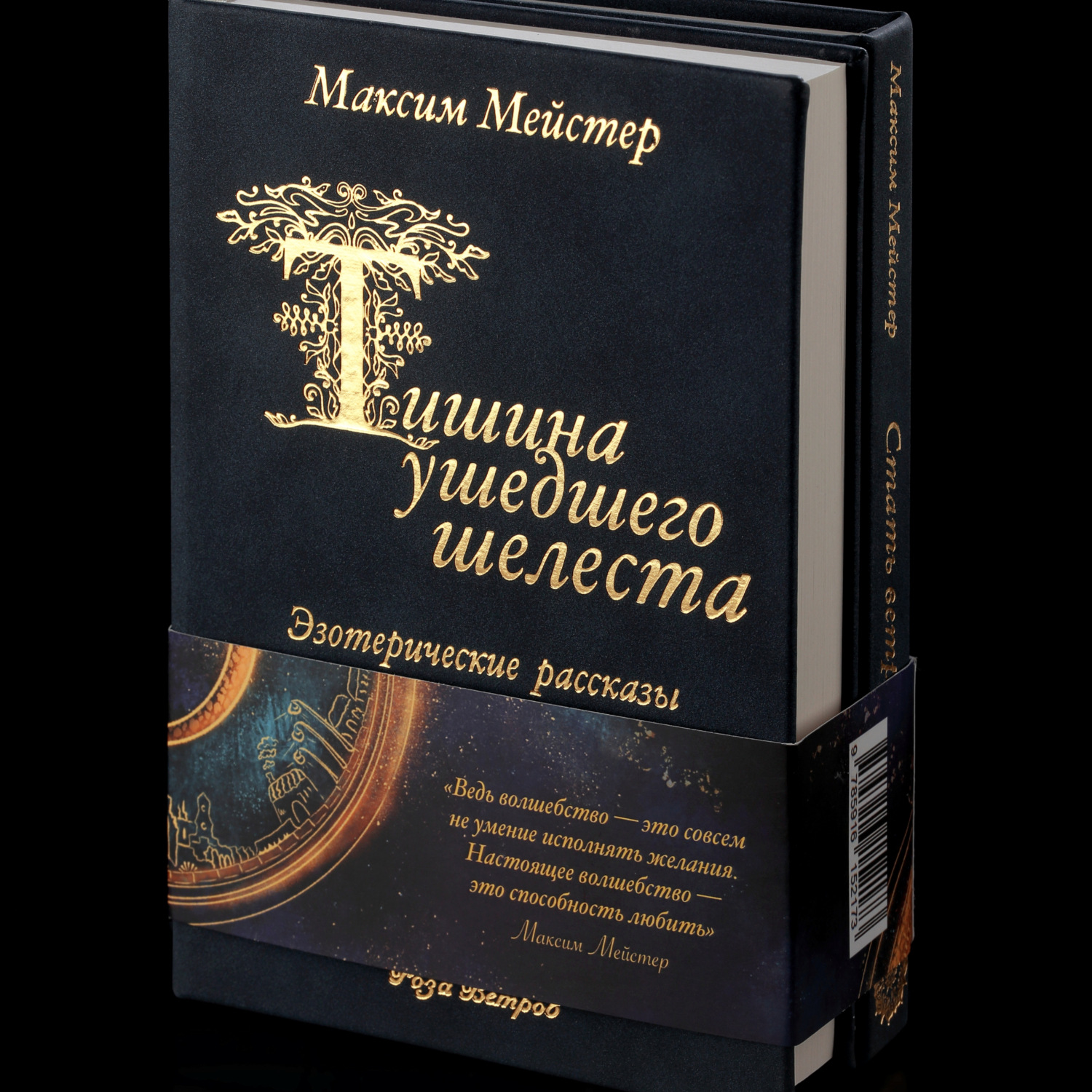 Обложка книги «Тишина ушедшего шелеста»