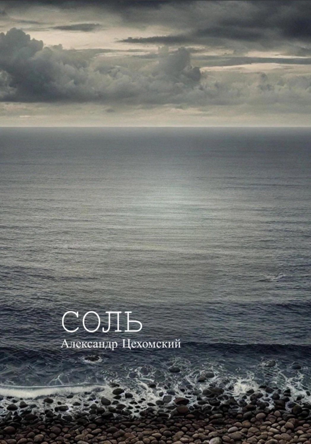 Обложка книги «Соль»