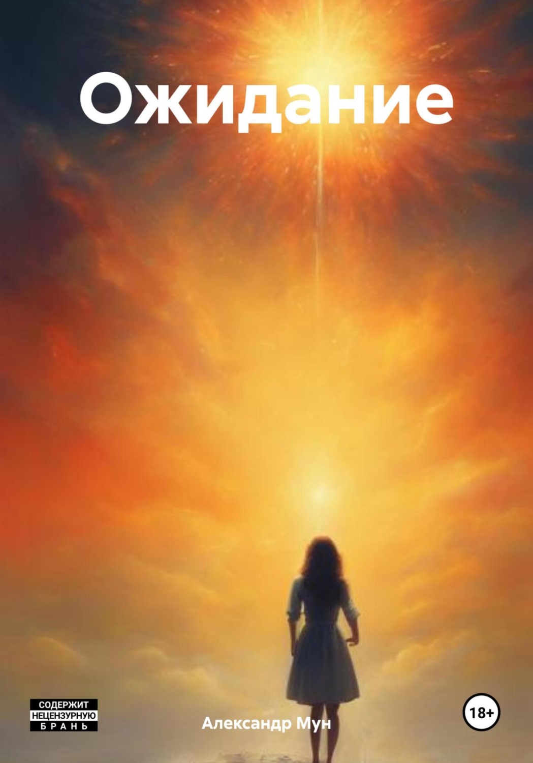 Обложка книги «Ожидание»