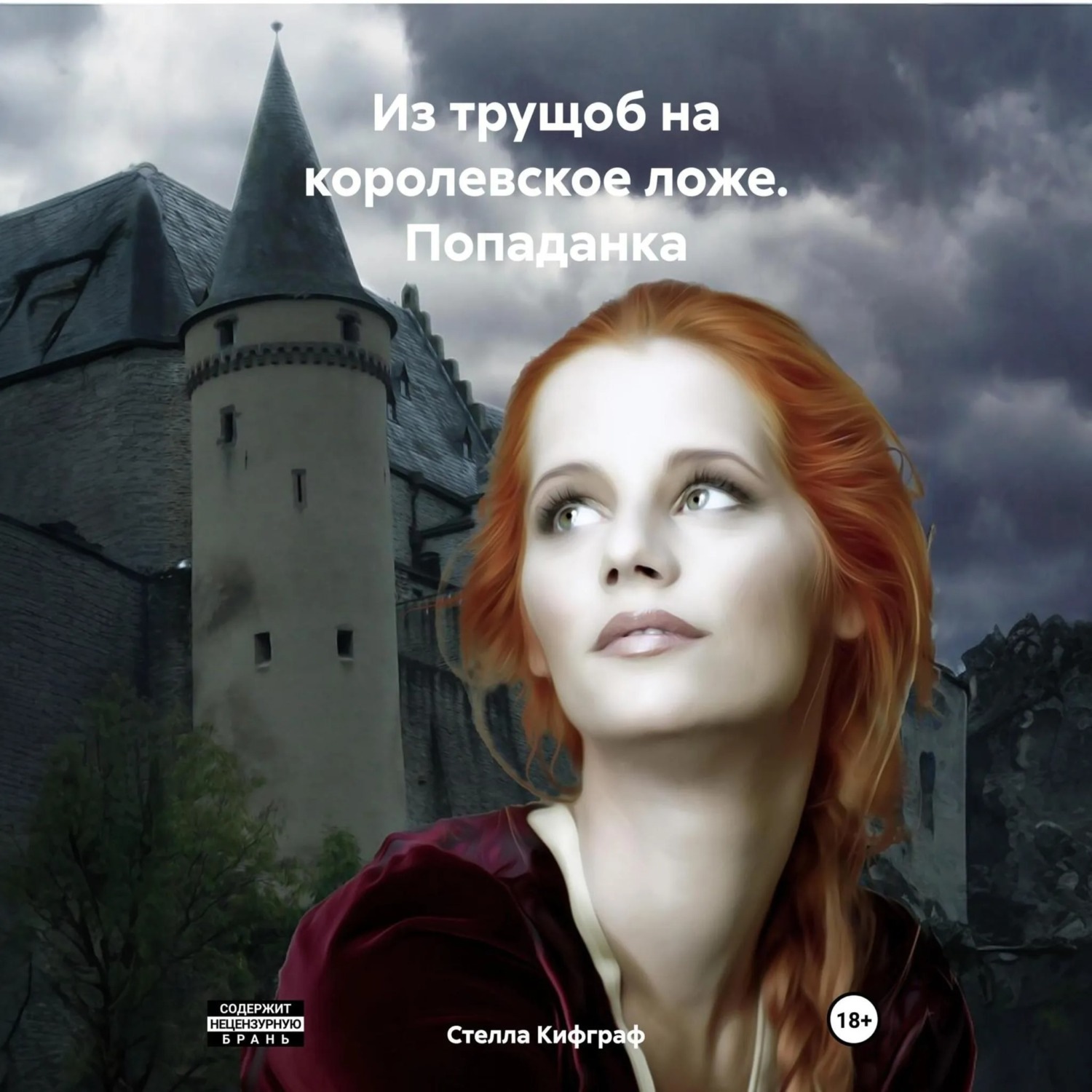 Обложка книги «Из трущоб на королевское ложе. Попаданка»