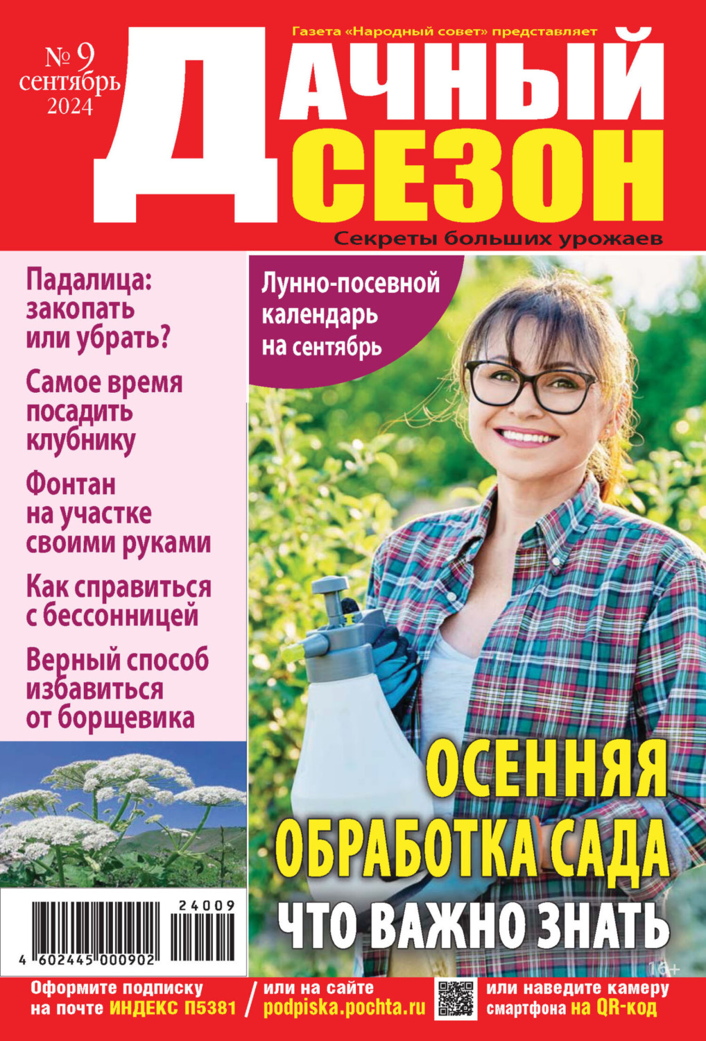 Обложка книги «Дачный сезон №09/2024»